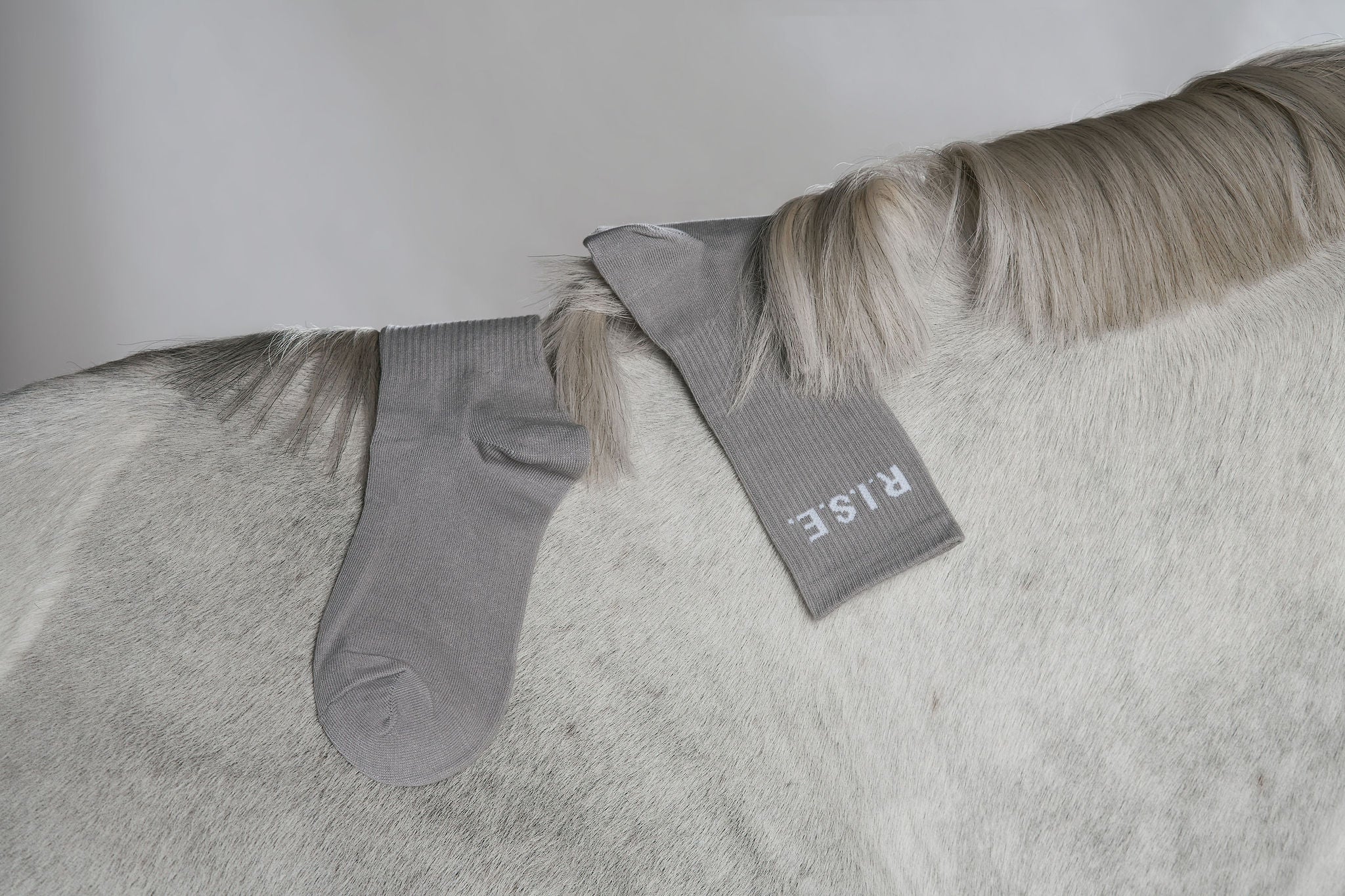 Dapple Sock Set